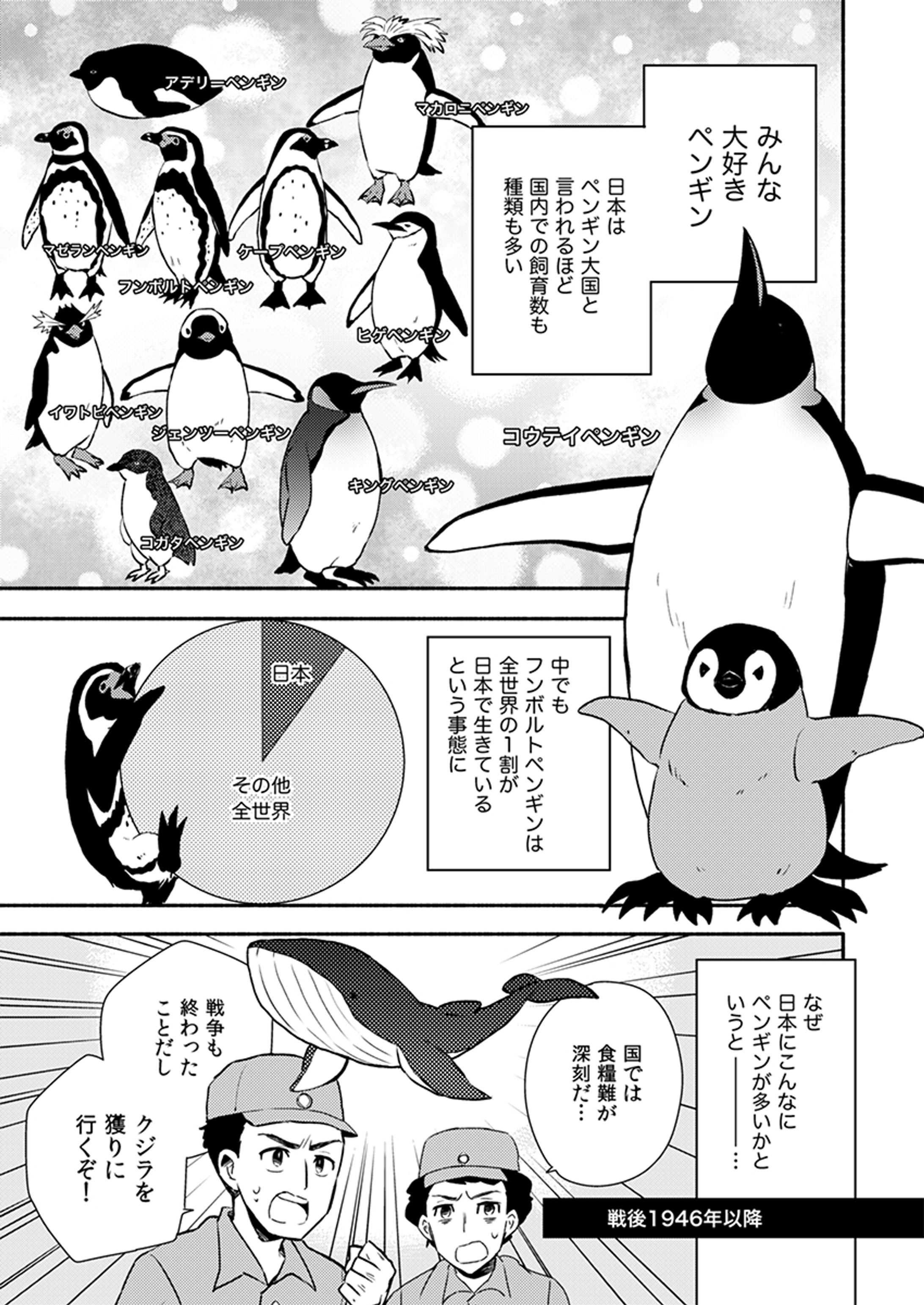 ペンギンが日本に多い理由-1