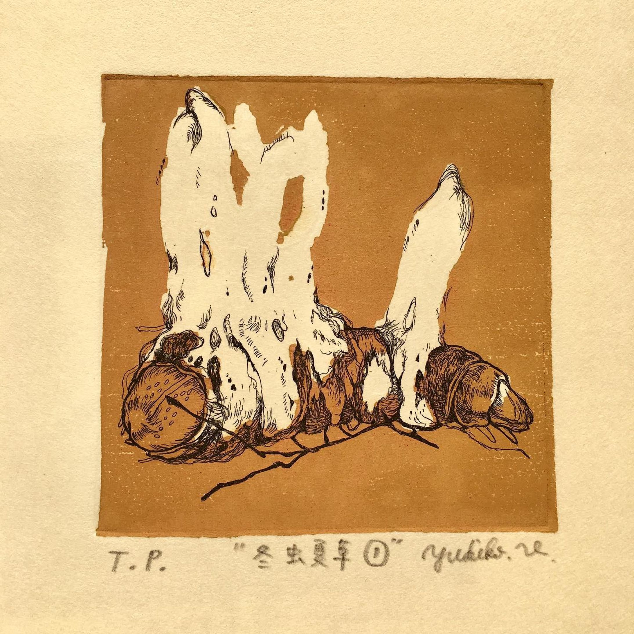 冬虫夏草①
vegetable wasp and plant worm
caterpillar fungus
10㎝×10㎝

#etching
#woodcut
#銅版画-1