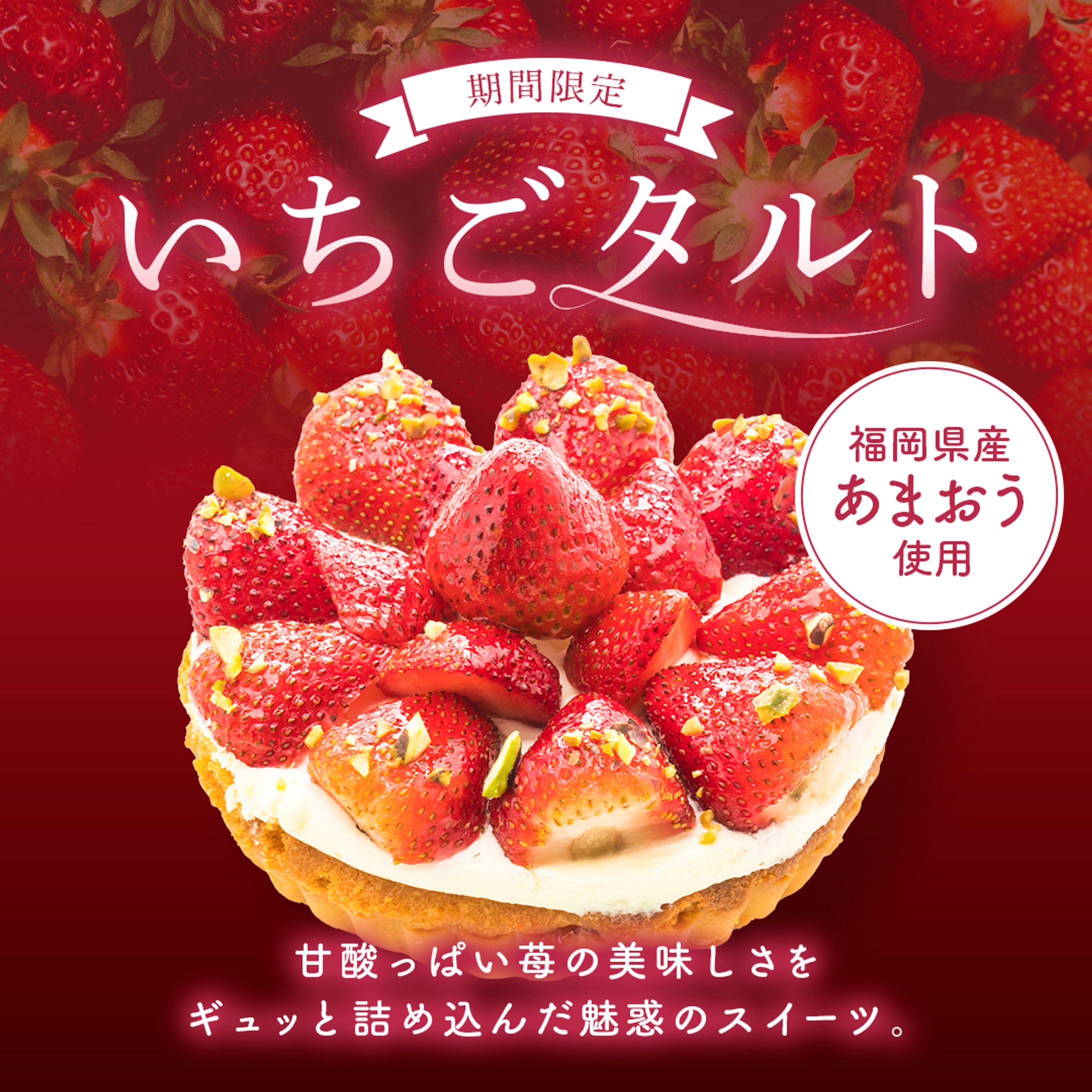 【WEB画像】食品系-1