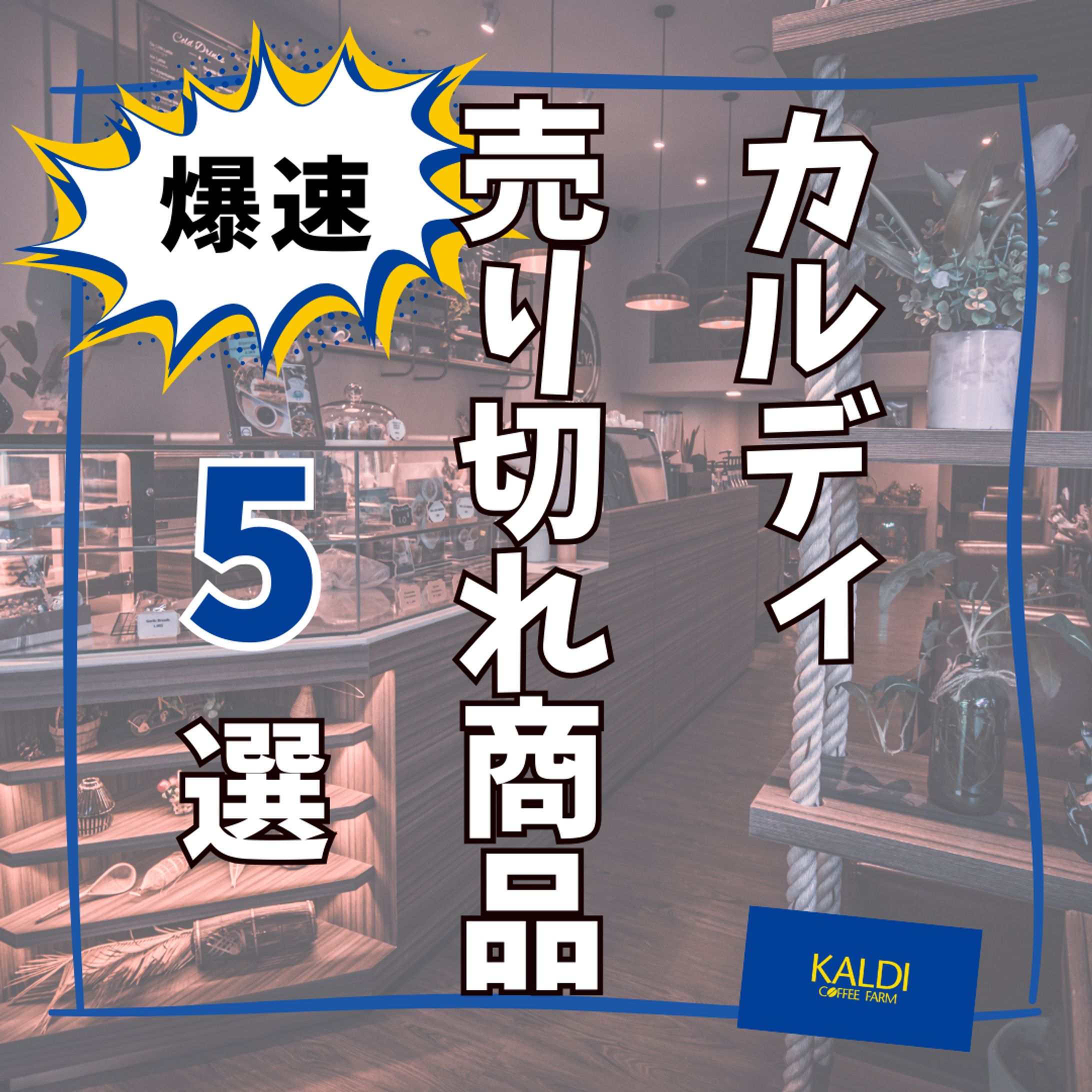 portfolio⑧-1