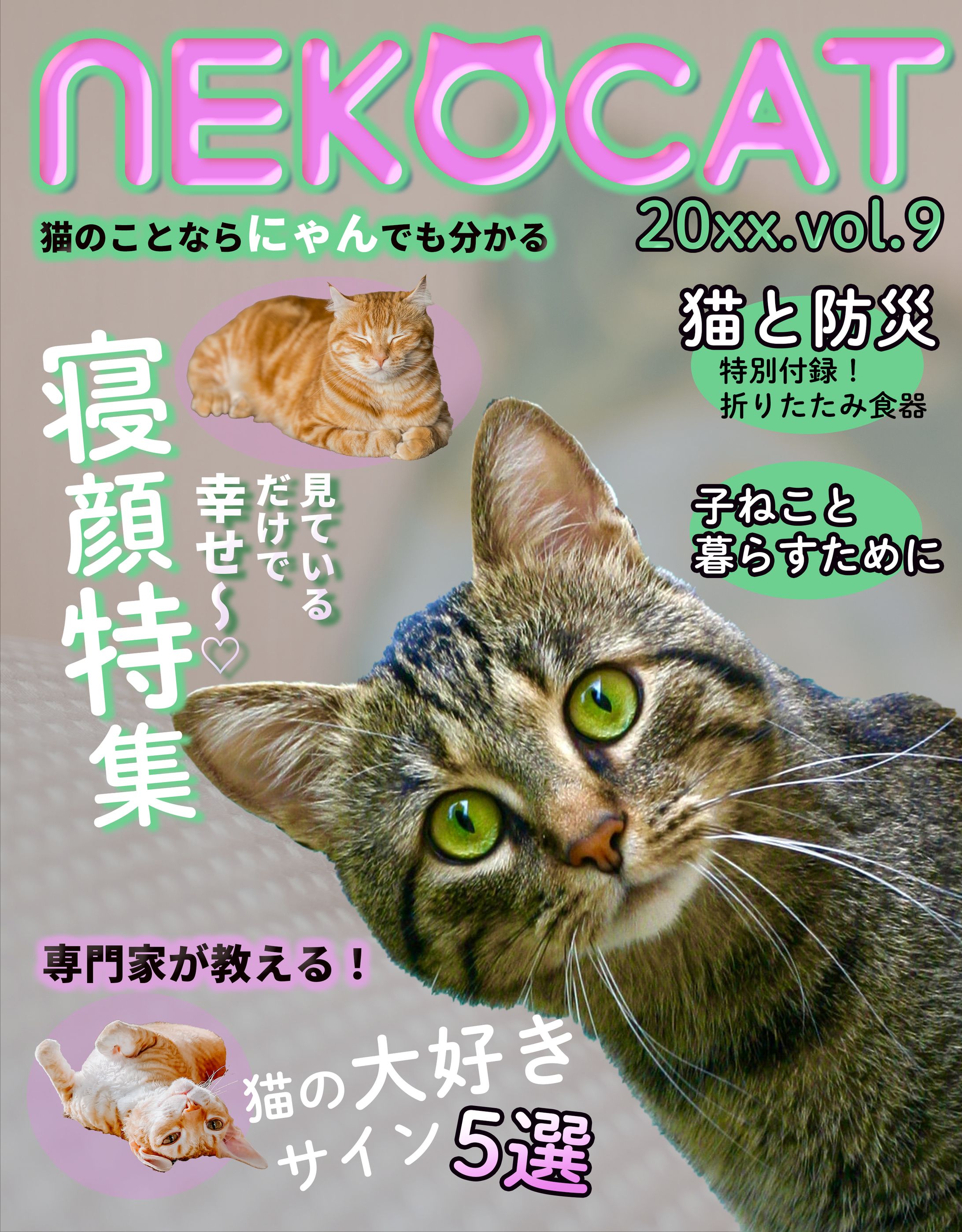 「猫雑誌」 表紙制作-1