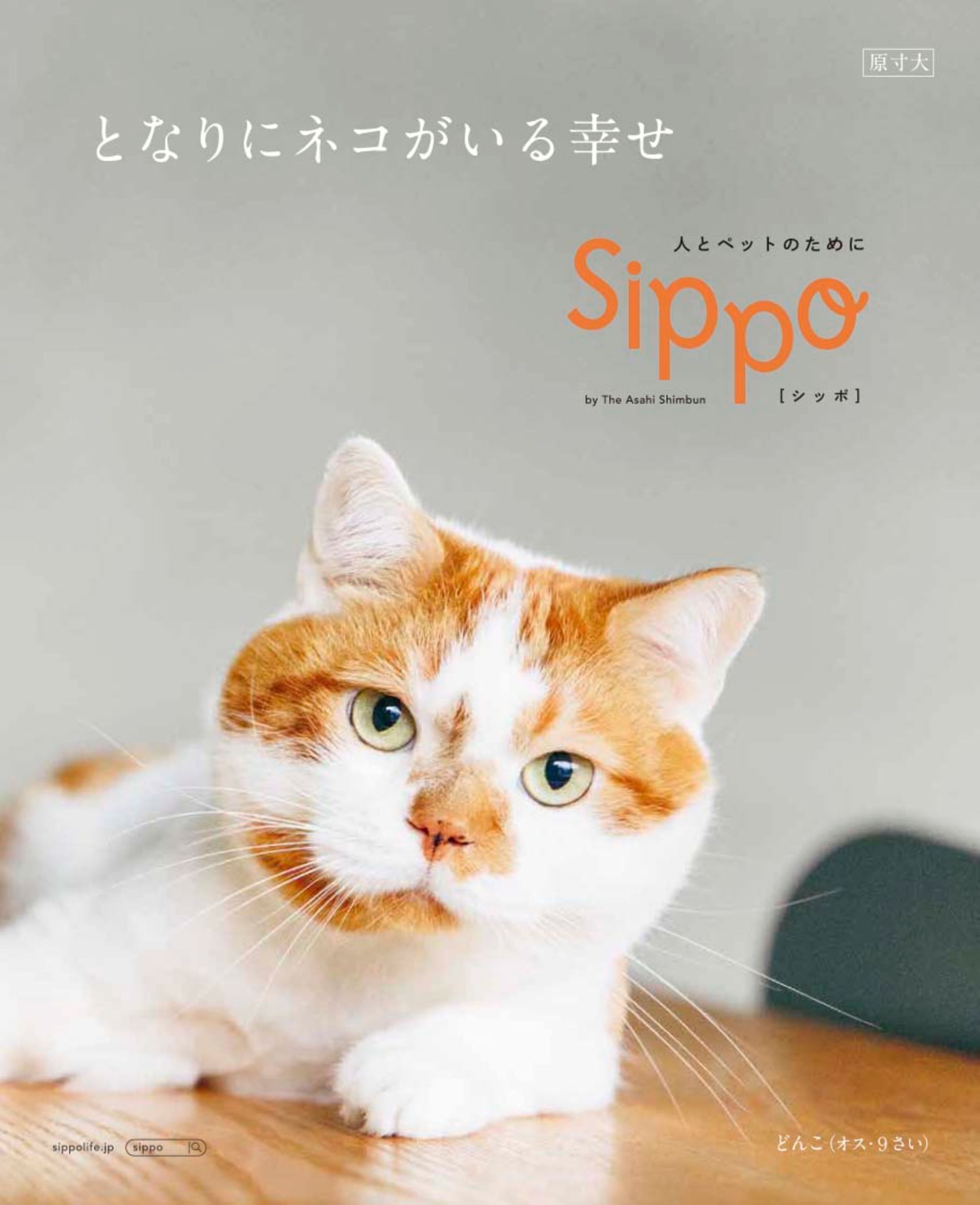 sippo-1