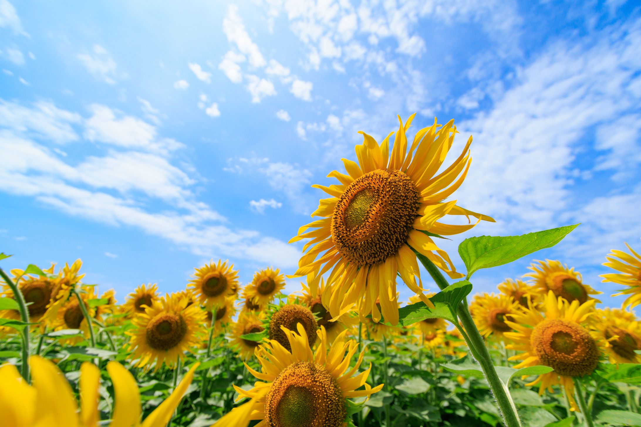 撮影サンプル-1