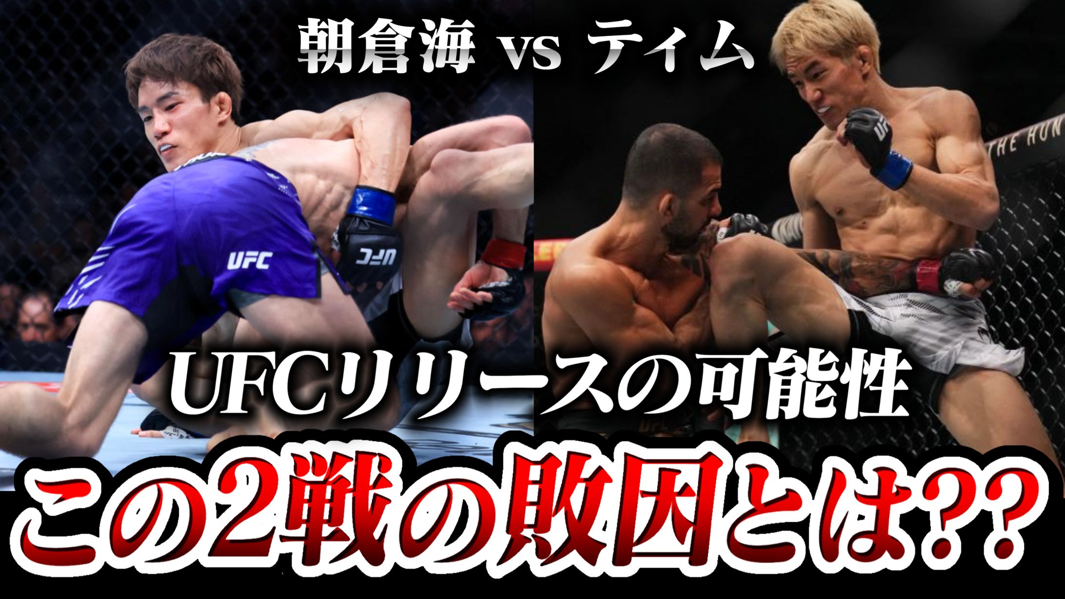 格闘技サムネイル-1