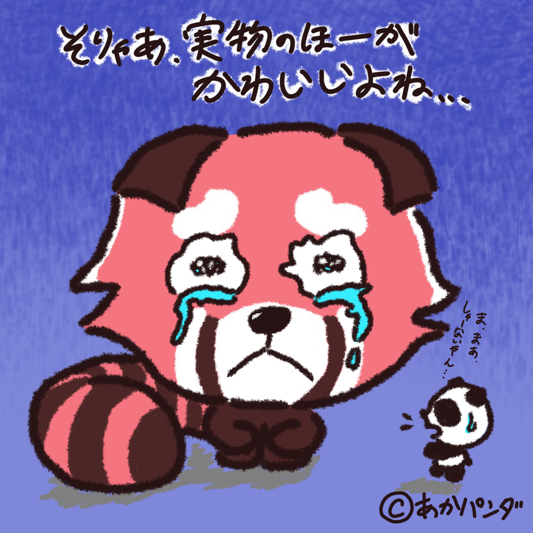 こぱんだ同盟-1