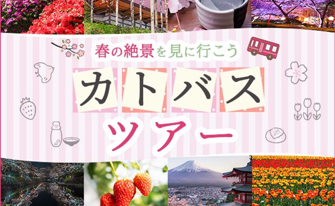 カトバスツアー