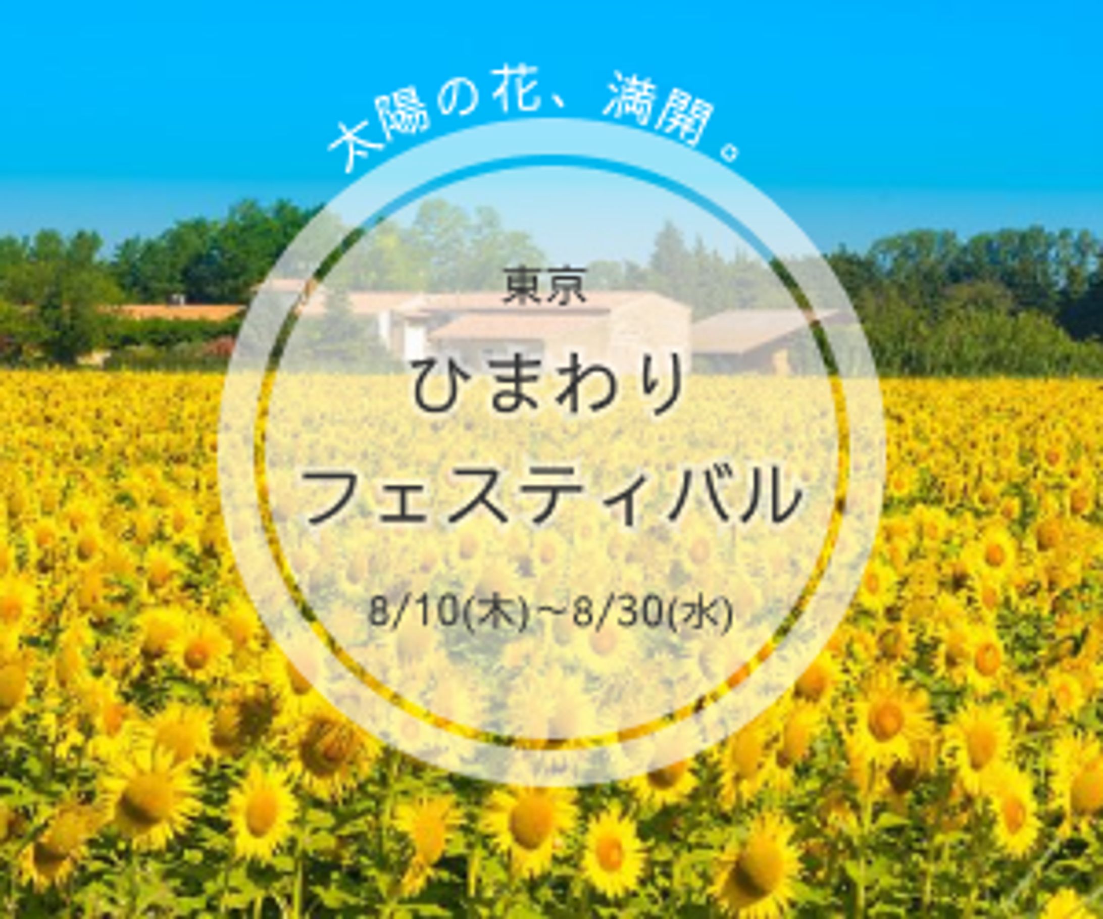 バナー制作-1