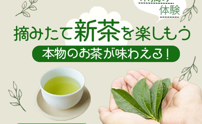 バナー：お茶摘み体験