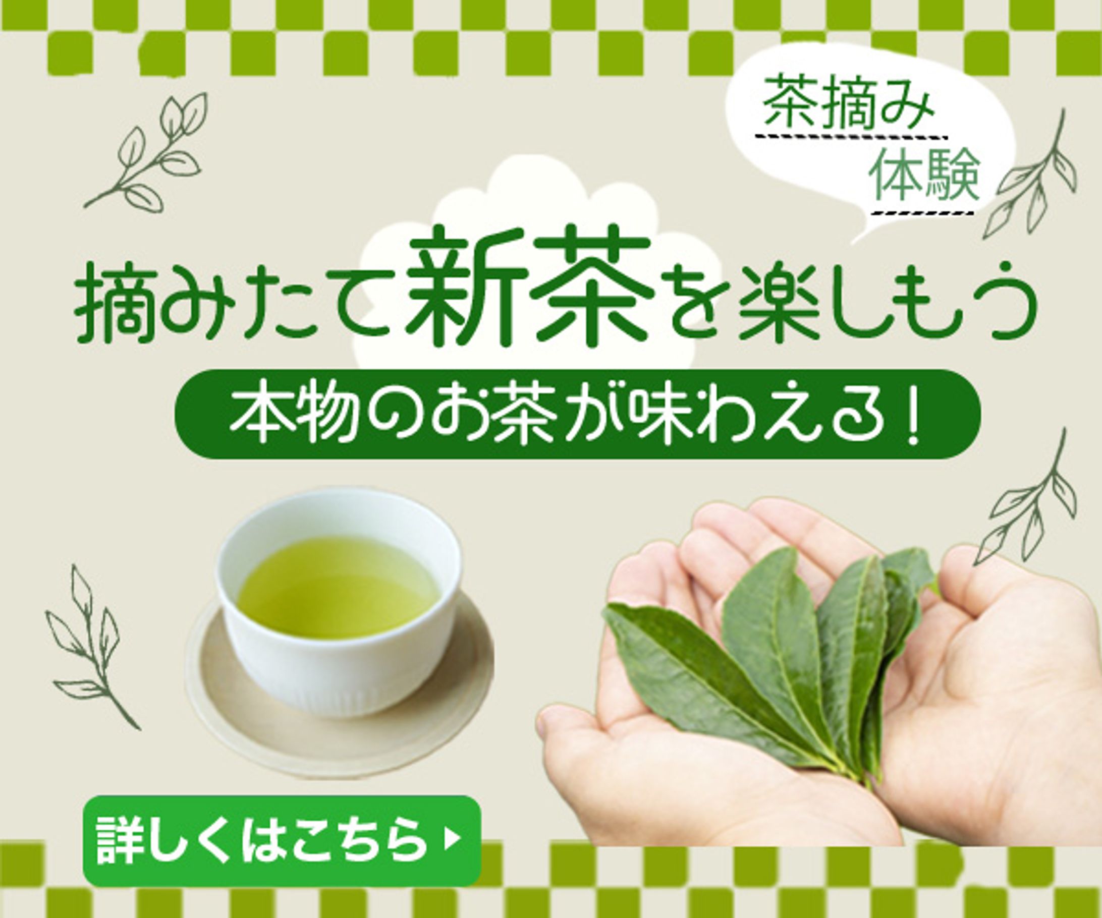 バナー：お茶摘み体験-1