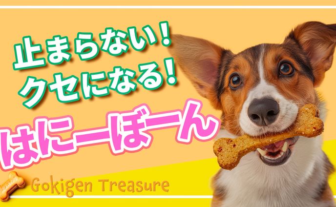 ペットのおやつ紹介