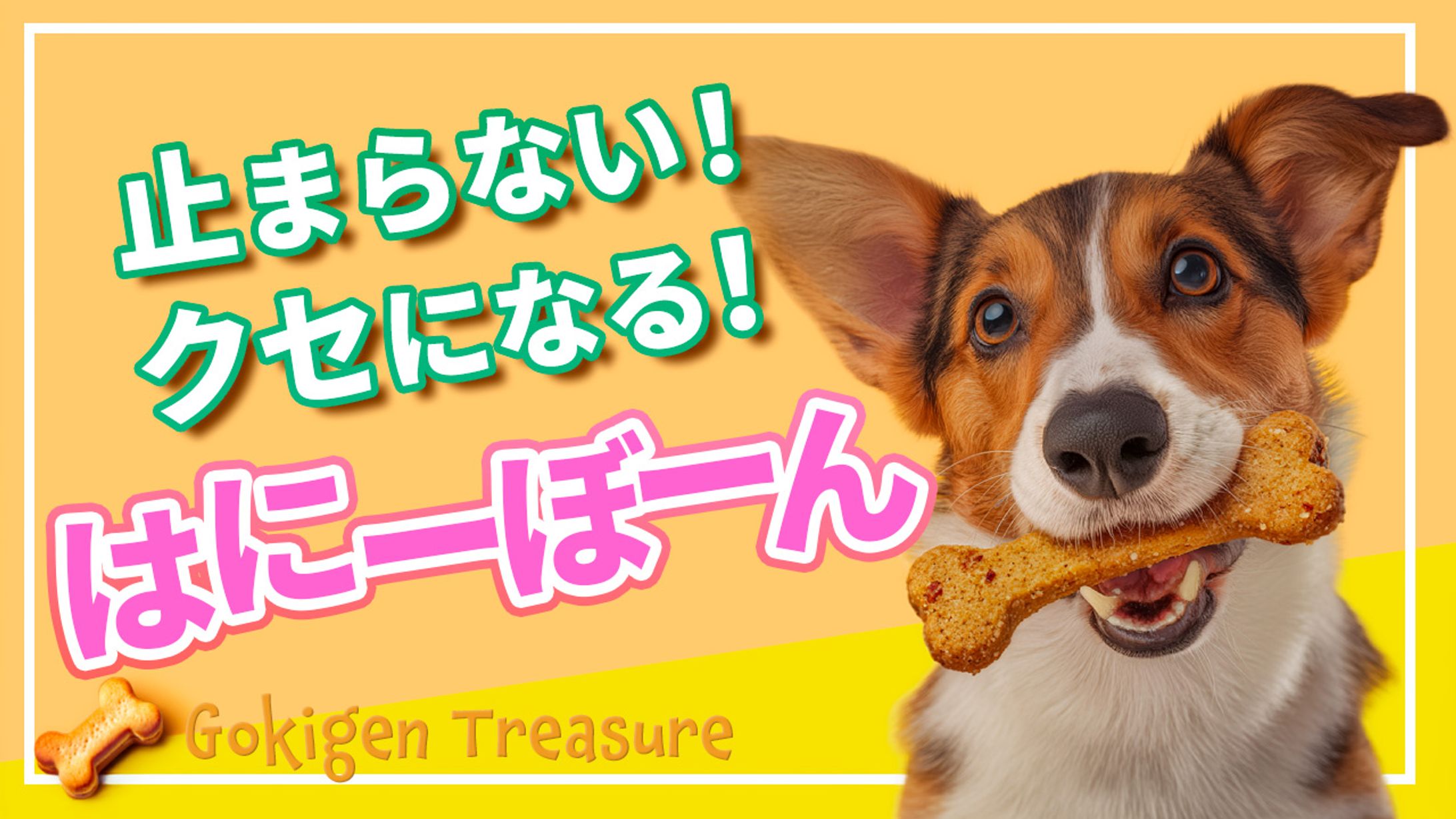 ペットのおやつ紹介-1