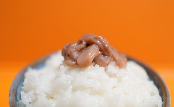FOOD-写真①