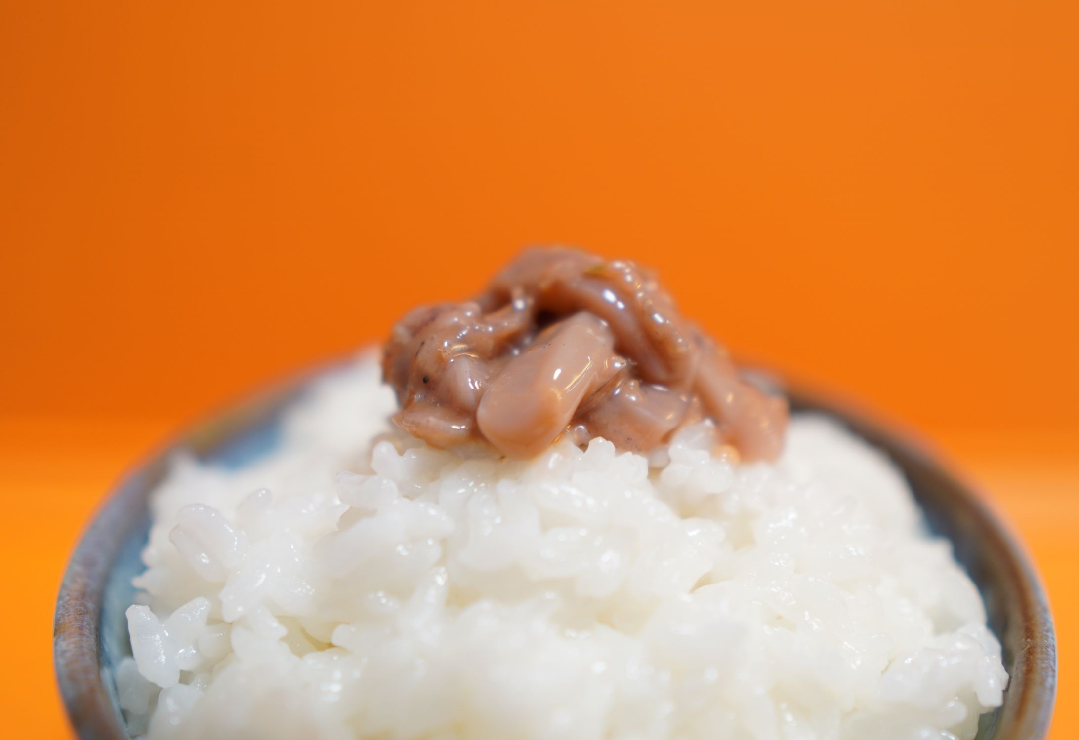 FOOD-写真①-1
