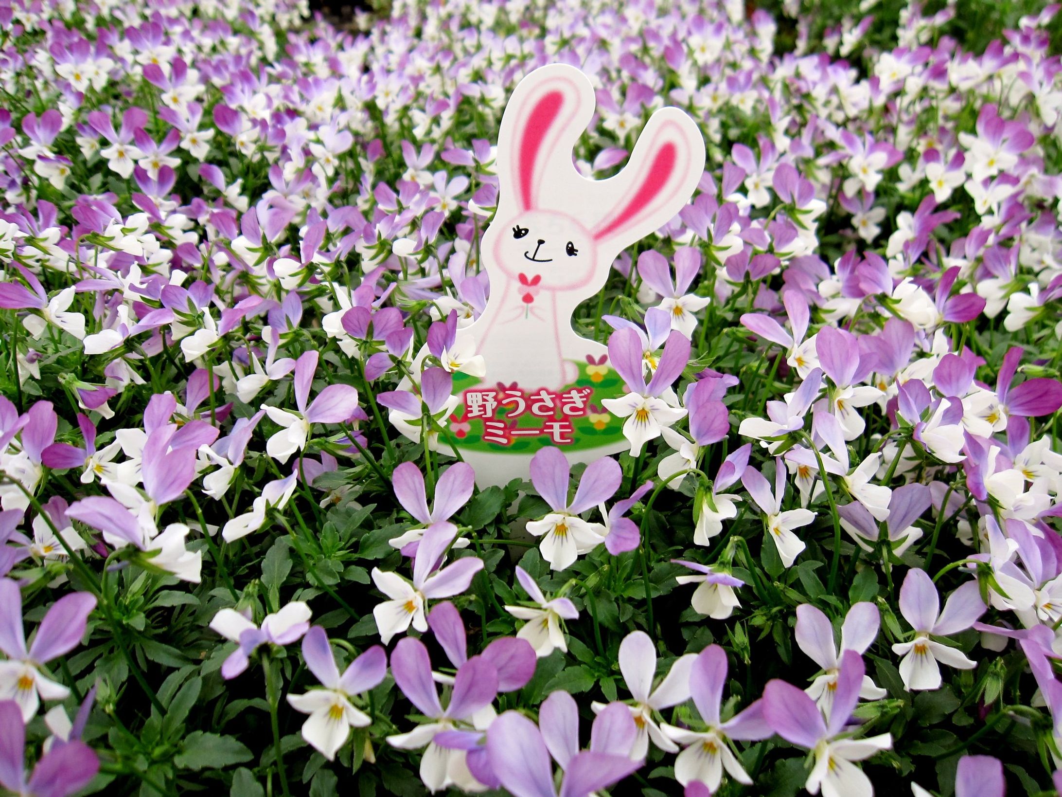（有）見元園芸　ラベルキャラクターデザイン-1