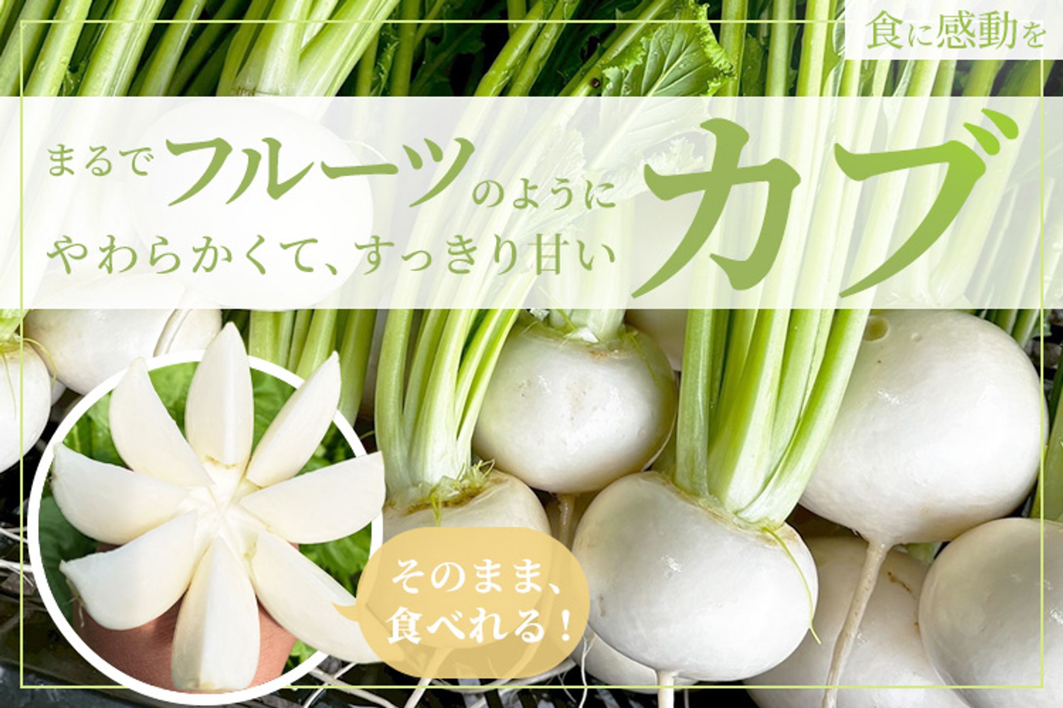 まるでフルーツのように柔らかくてスッキリ甘いカブ-1