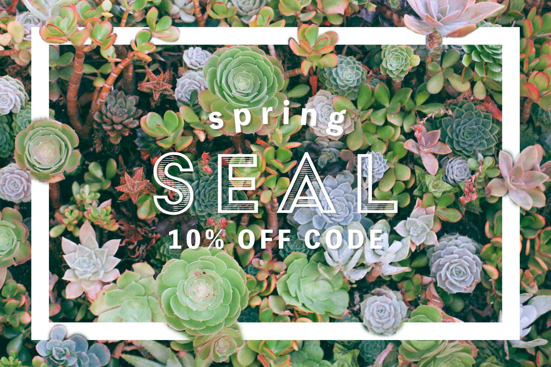spring seal-1