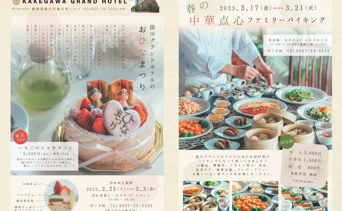 flyer in newspaper 202302
