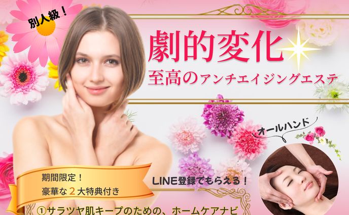 エステのPRに伴うLPのヘッダ－