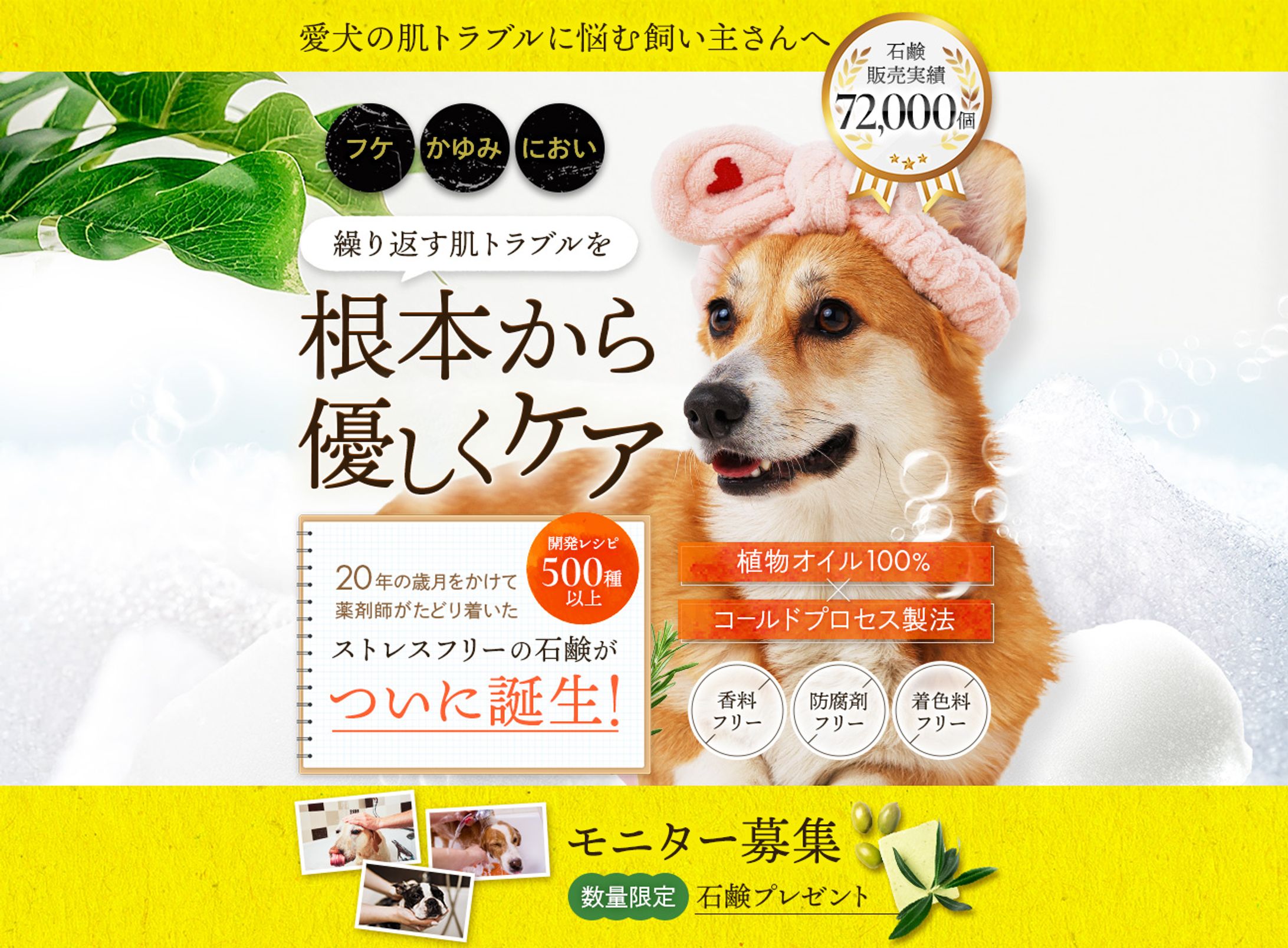 LP：ペット用石鹸販売-1