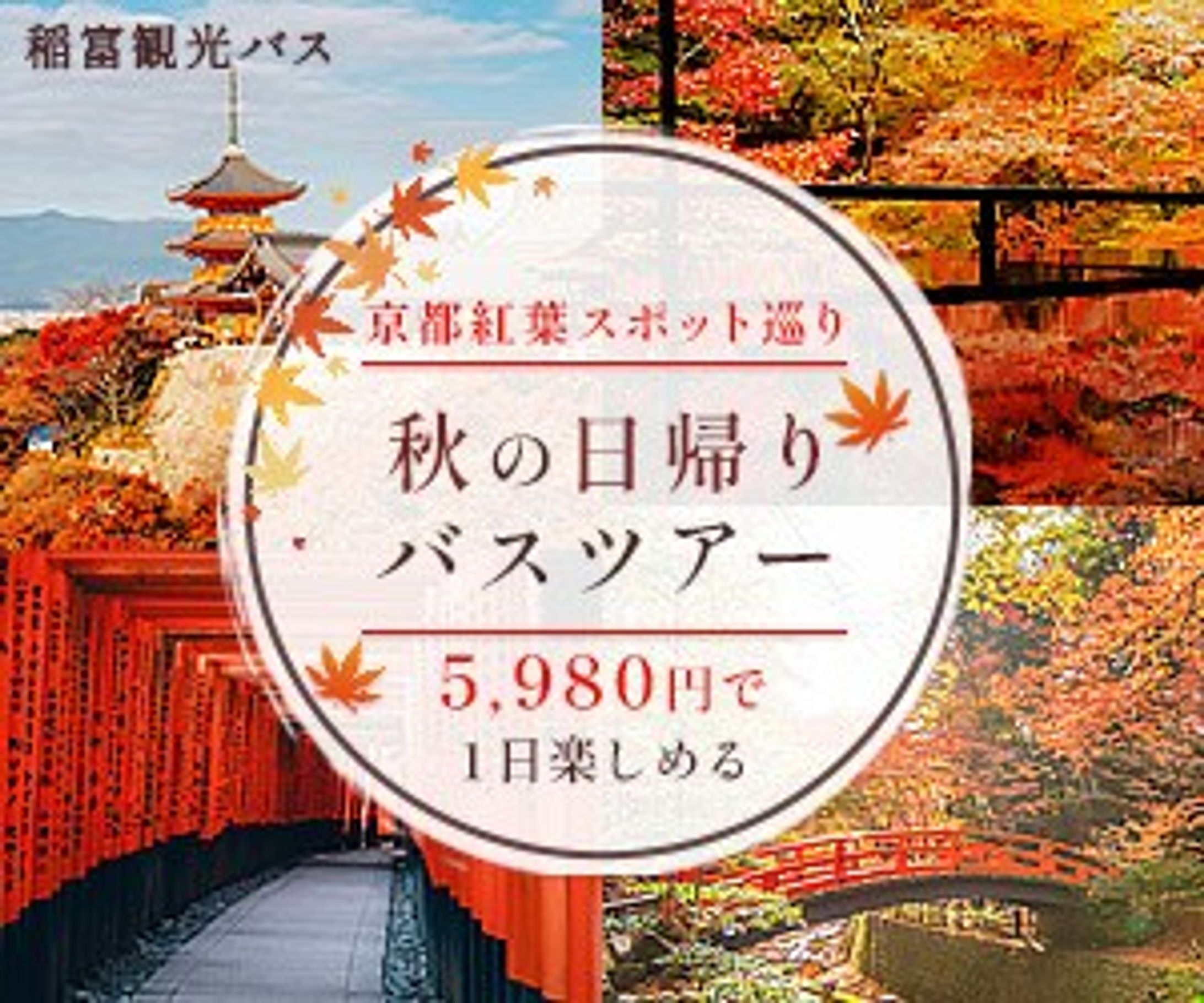 京都紅葉スポットを巡る日帰りバスツアーの訴求バナー-1