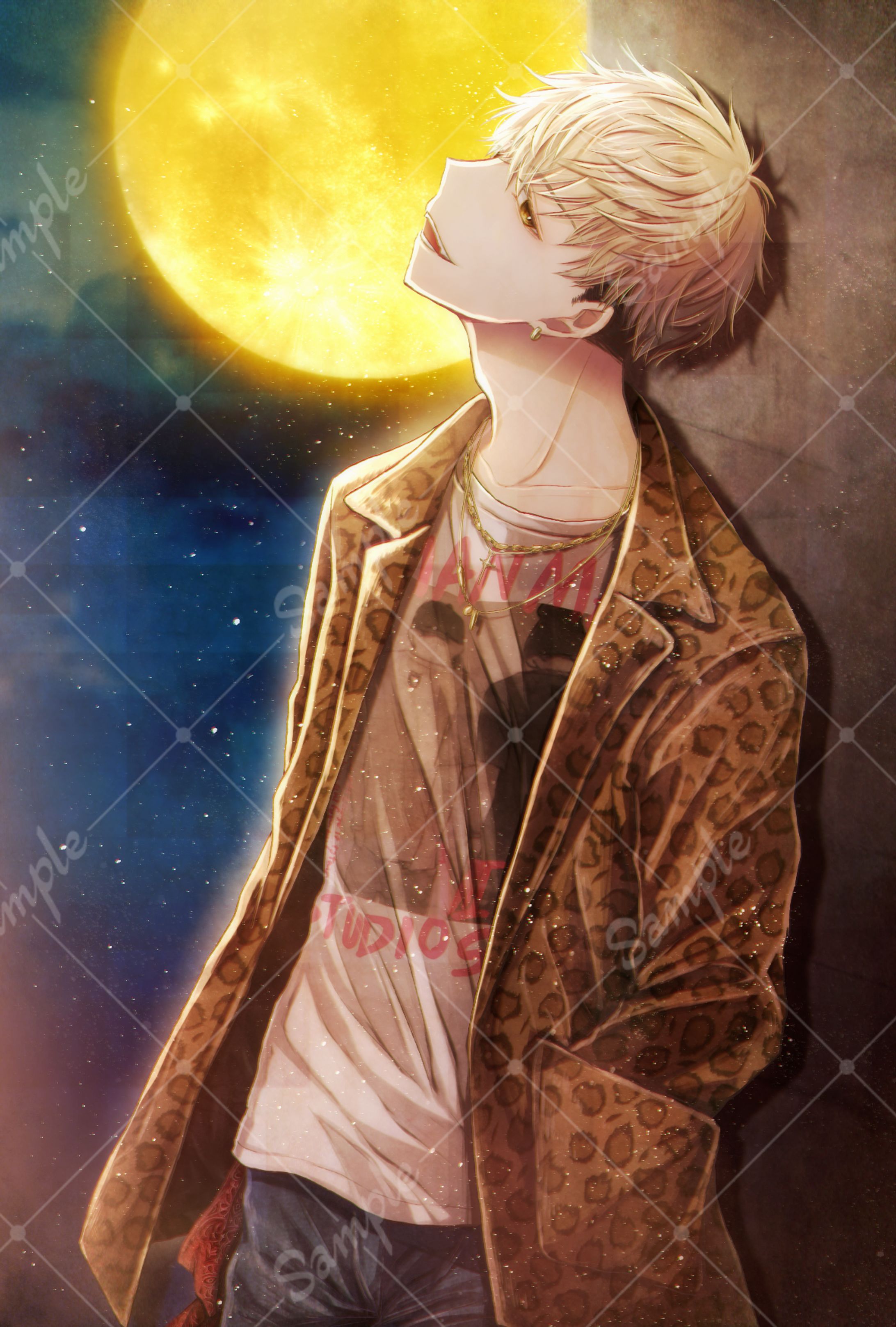 一枚絵/版権作品-1