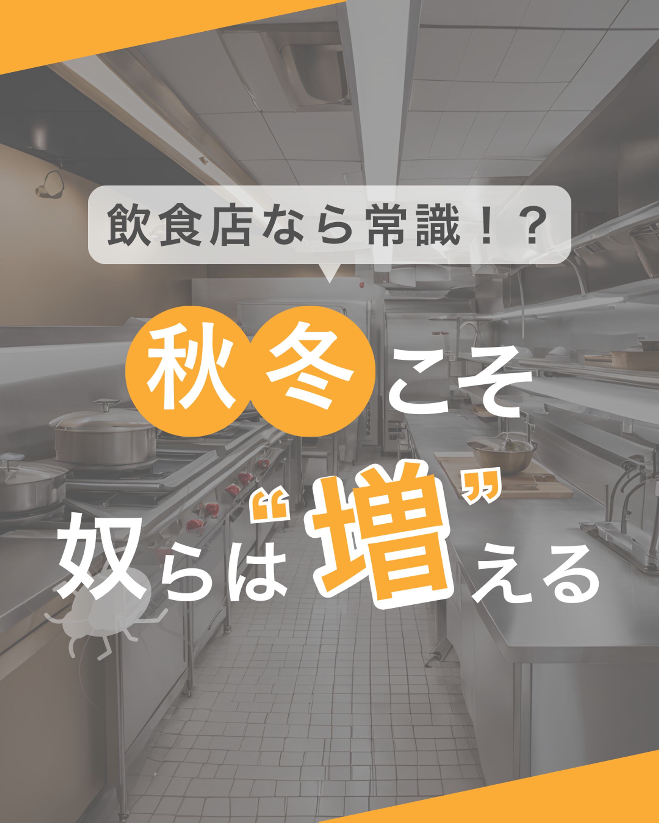 Instagramフィード投稿_害虫駆除-1