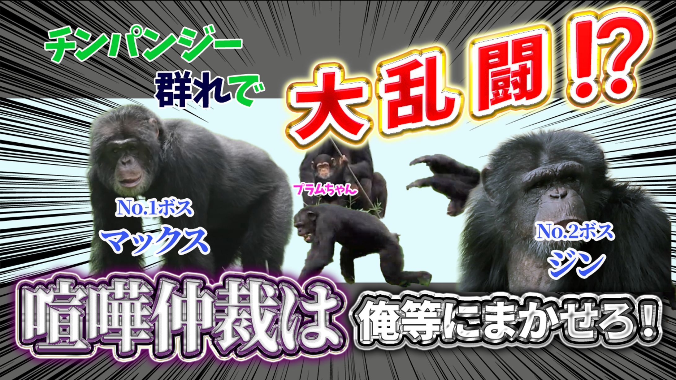 サムネイル（自主制作）-1