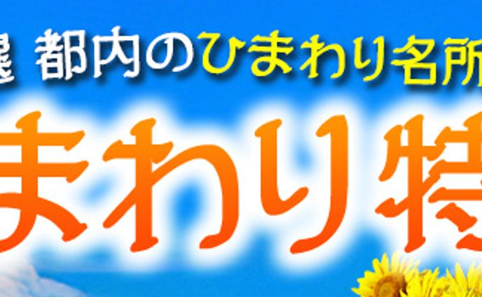 バナー：ひまわり特集