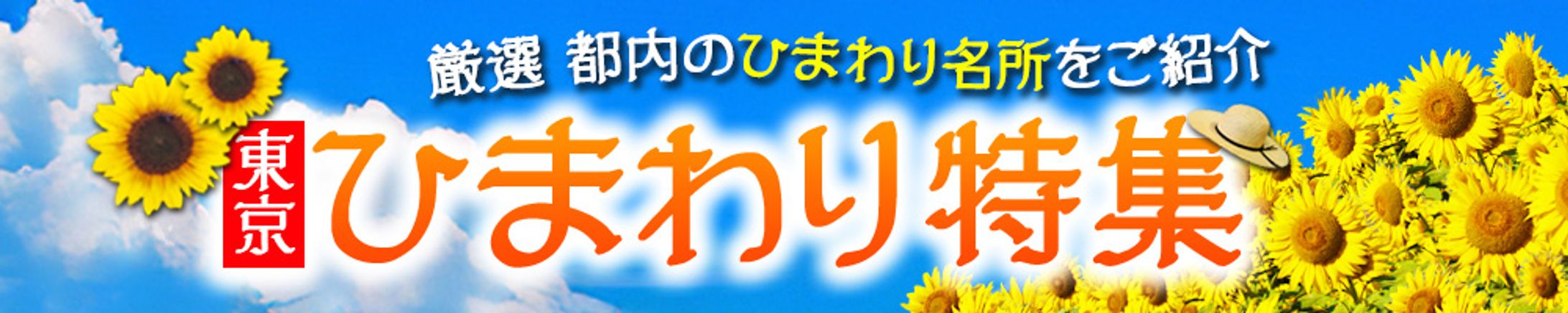 バナー：ひまわり特集-1