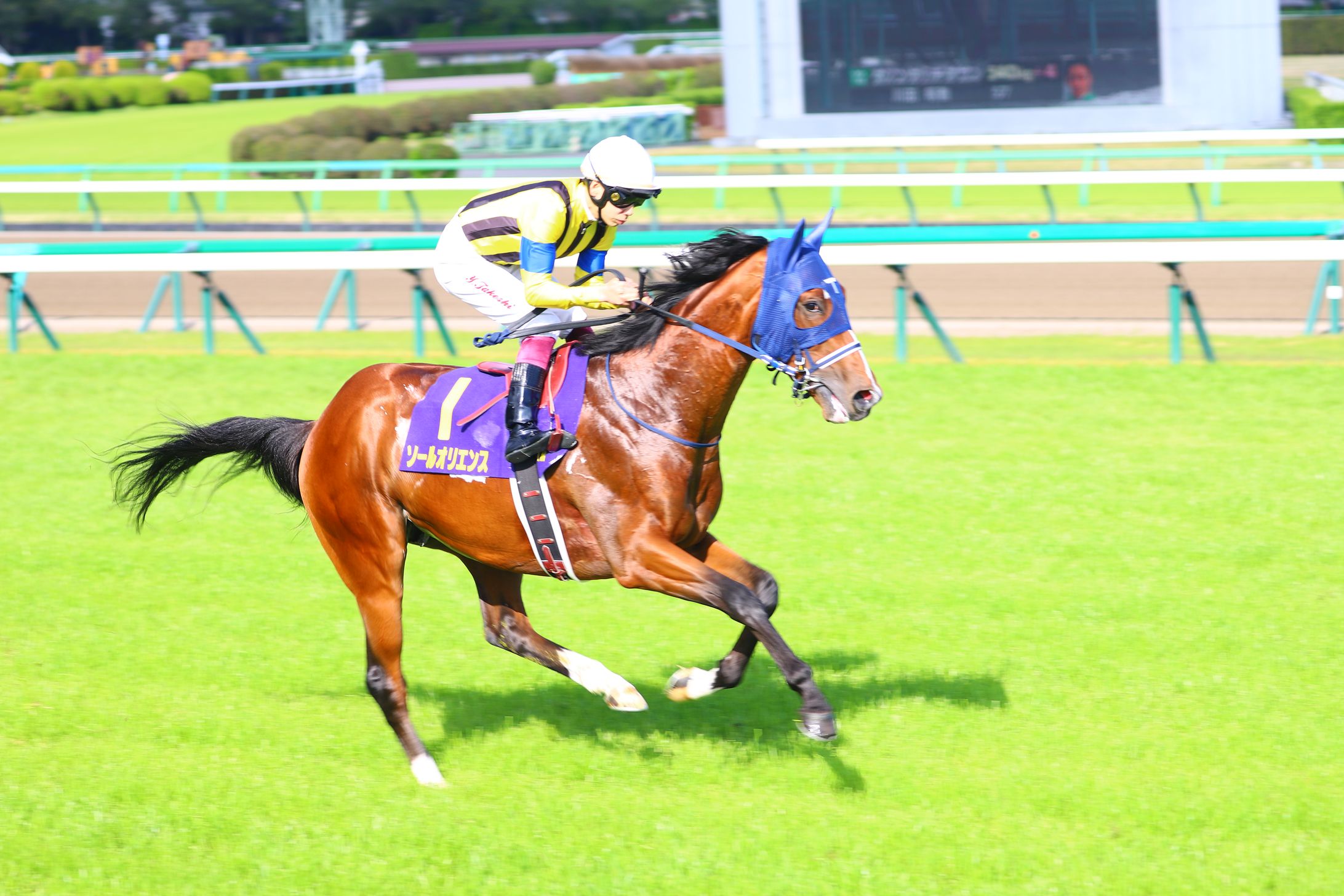 B0CA85D4 5CCB 44D6 99A3 9F59FA7A810D-1