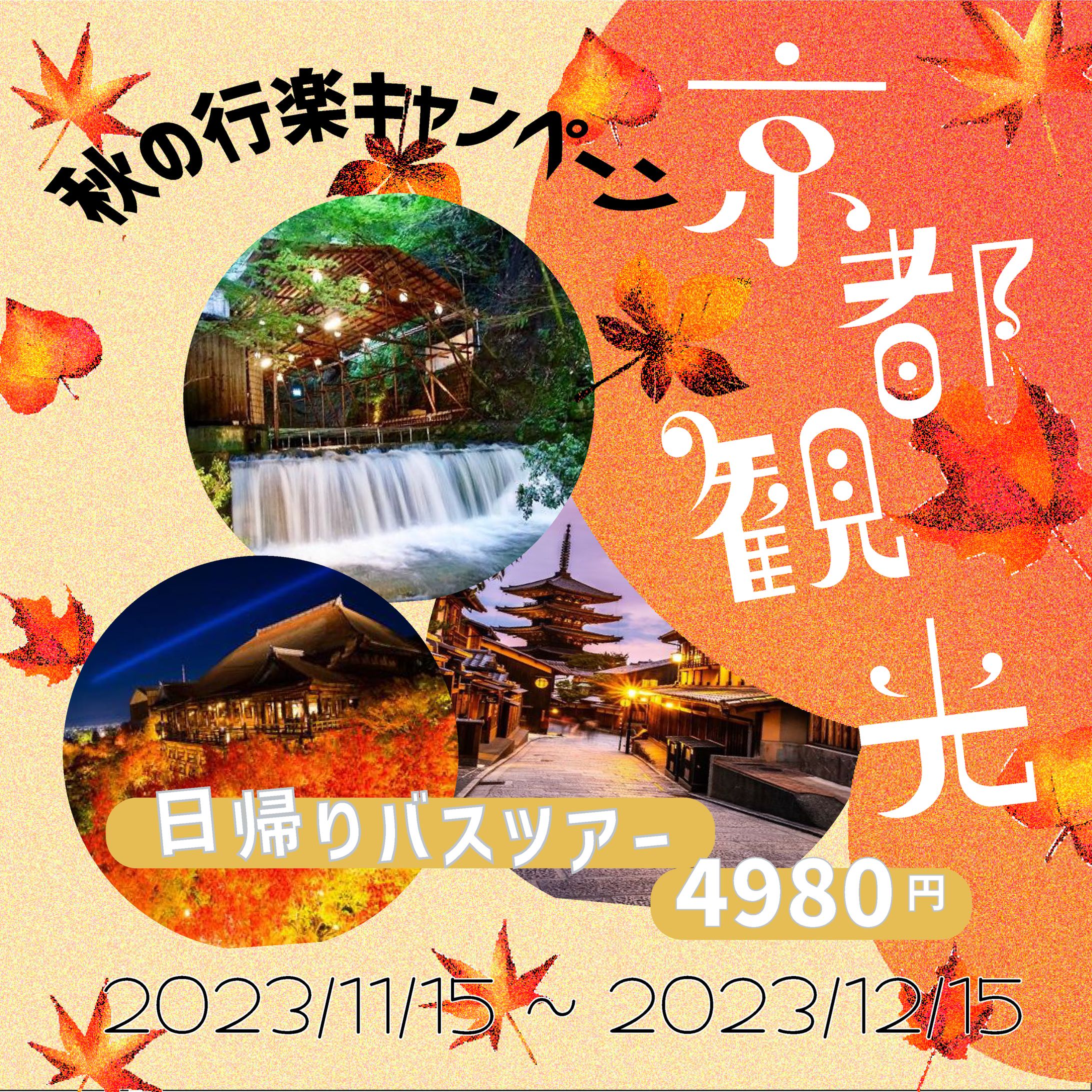 紅葉バナー -1