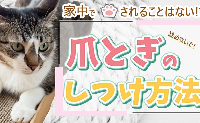 テスト制作です