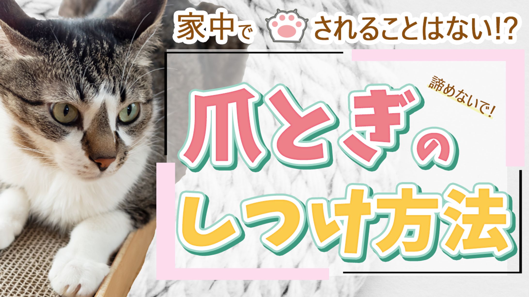 テスト制作です-1