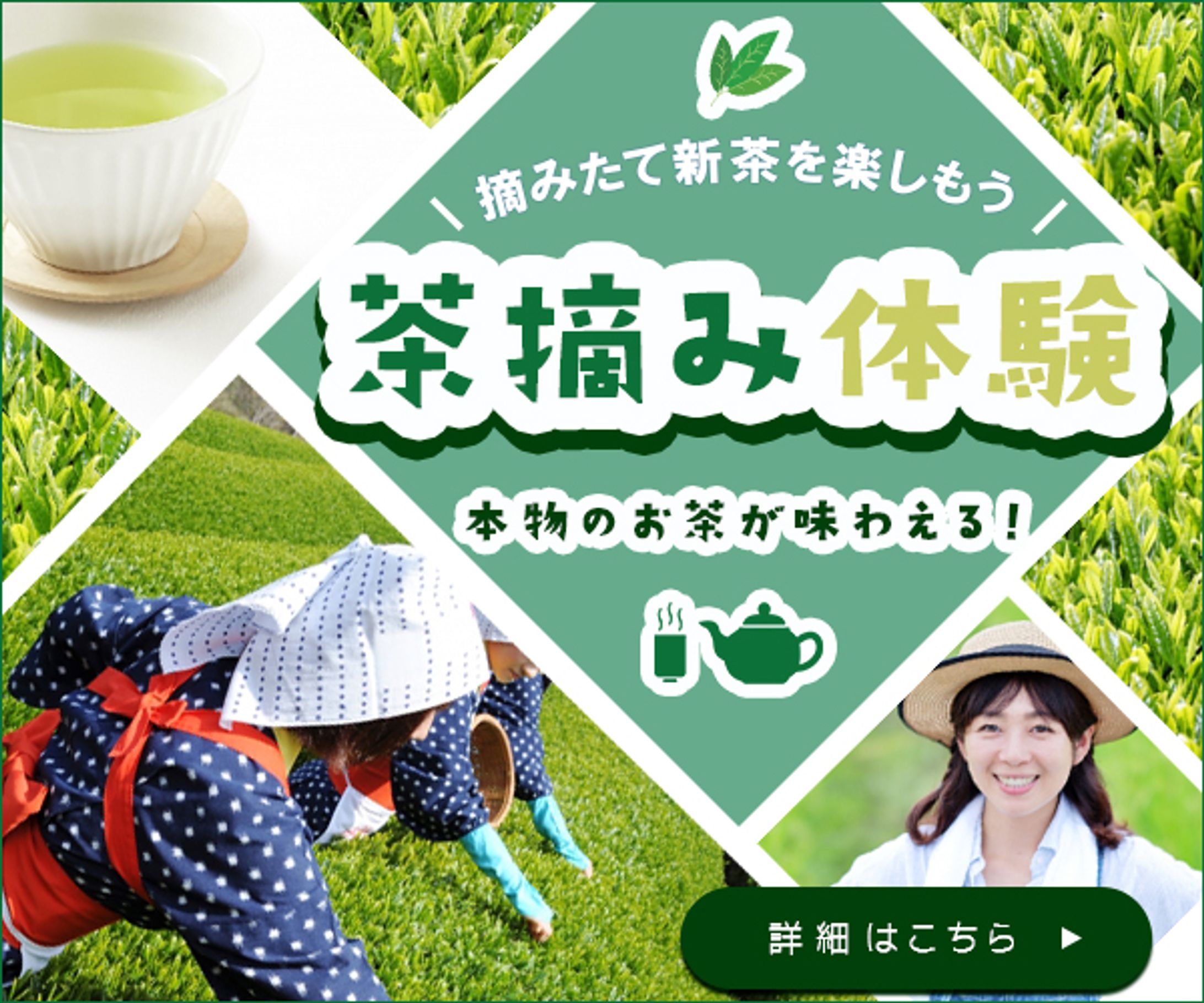 【課題banner】茶摘み体験-1