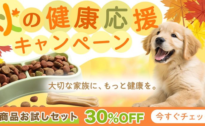 秋の健康キャンペーン 