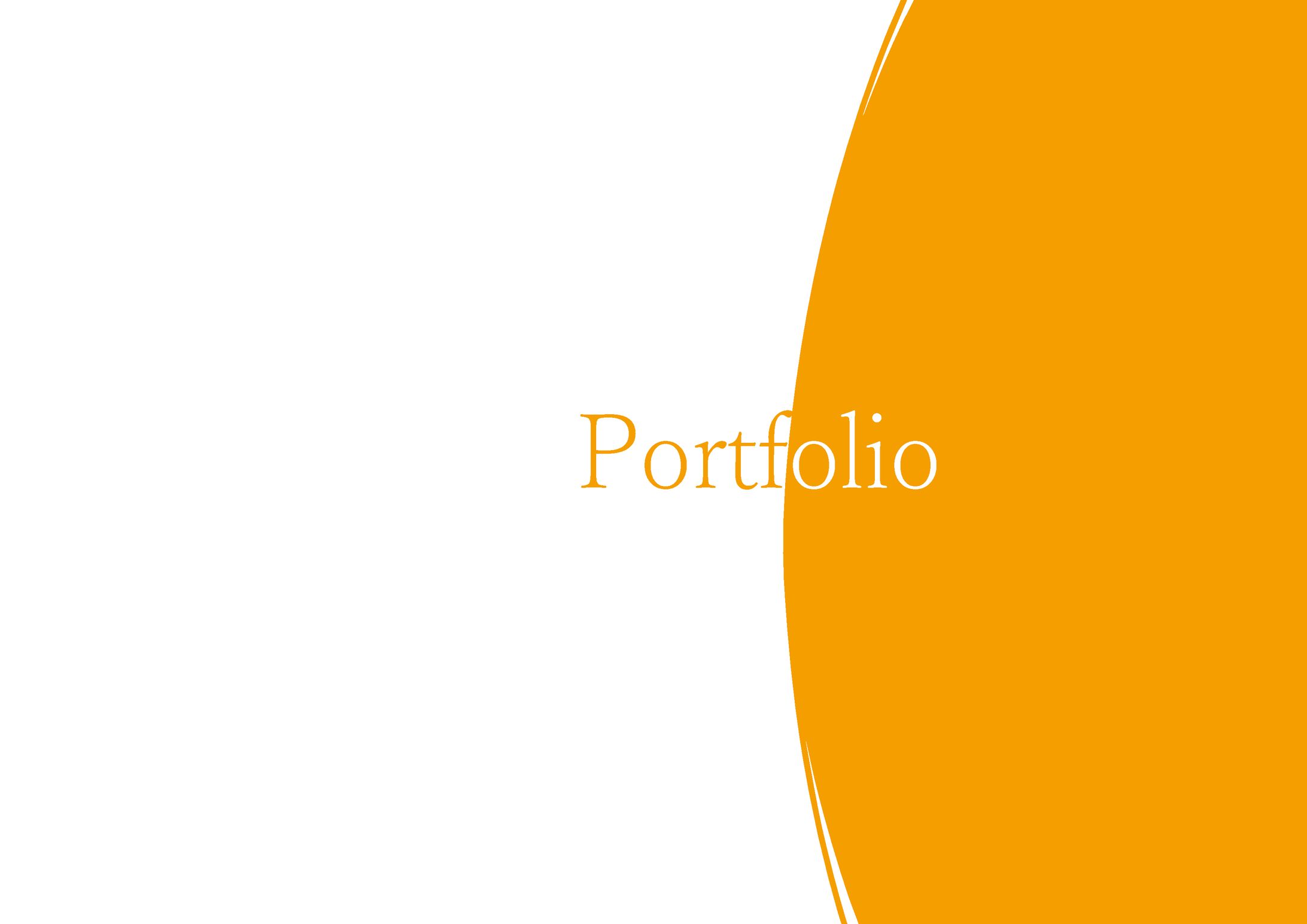 Portfolio -1