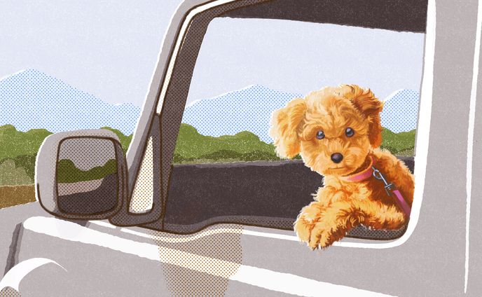 動物イラスト