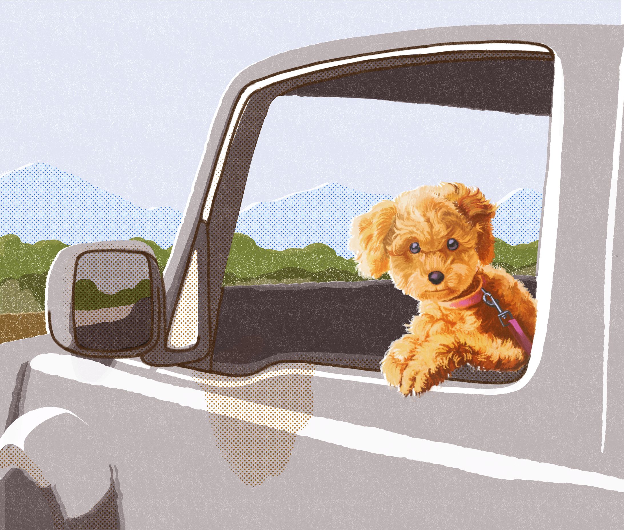 動物イラスト-1