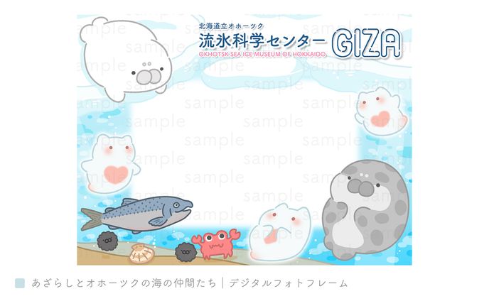 あざらしとオホーツクの海の仲間たち｜デジタルフォトフレーム