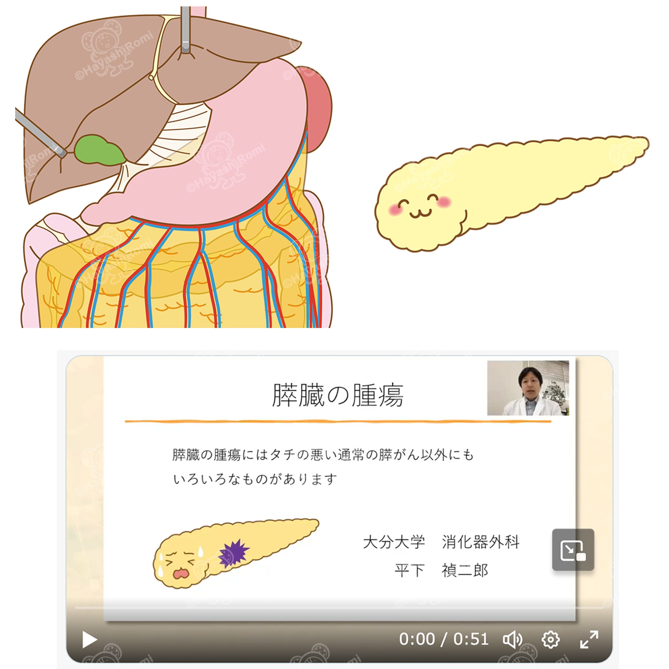 FitNs『5分でわかる』消化器系動画へのイラスト提供-1