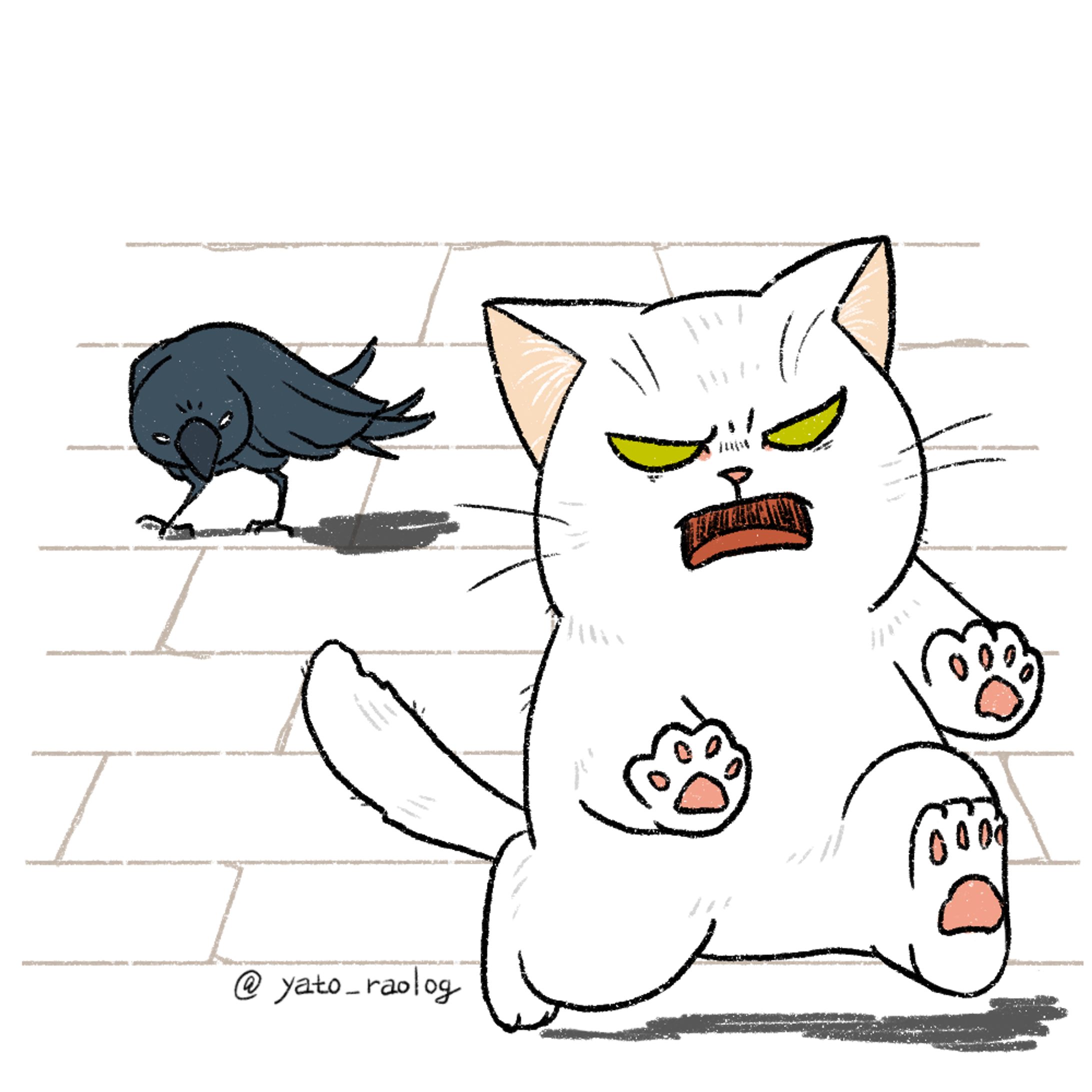 cat illustration３-1