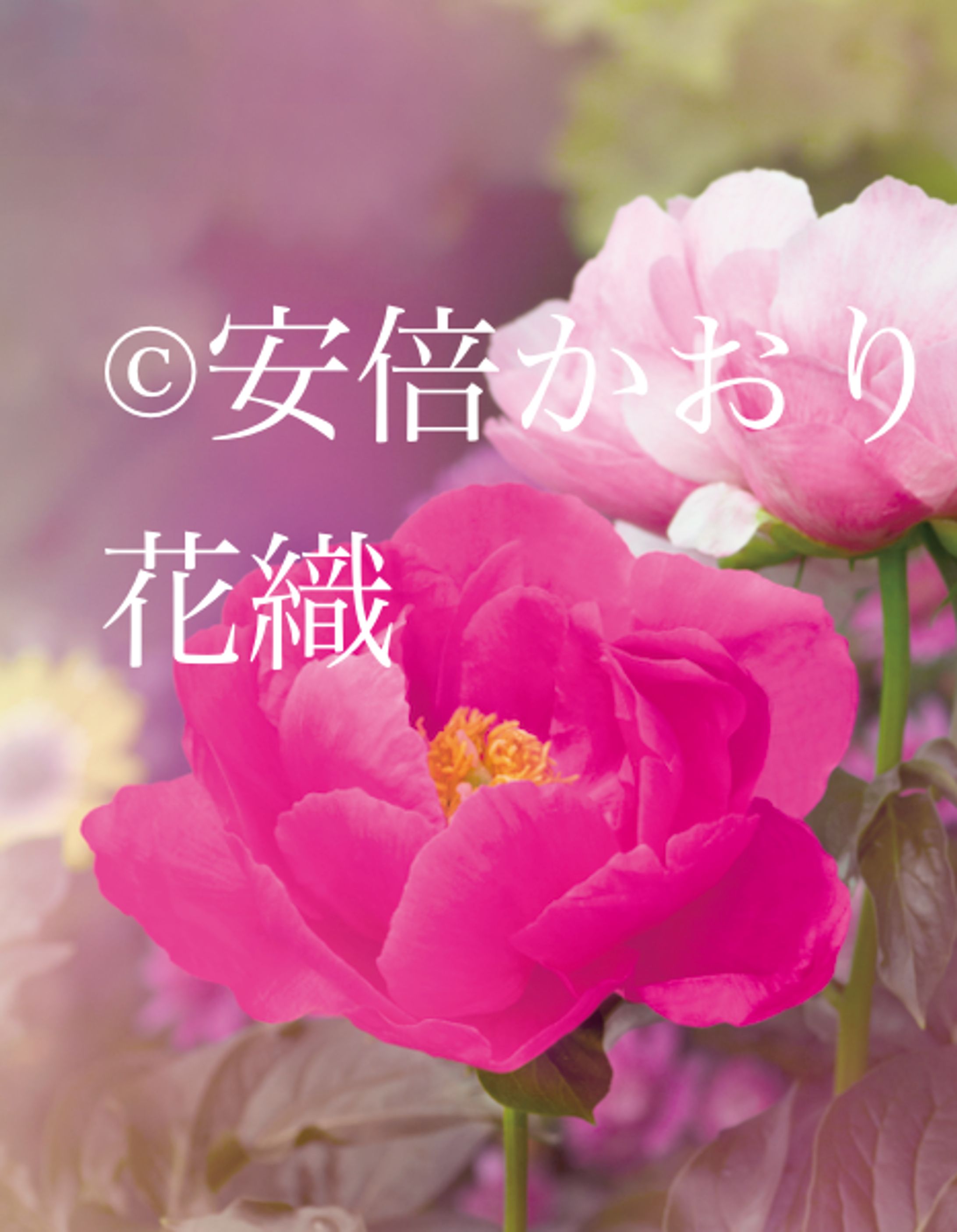  「KITANO ART RISING」-1