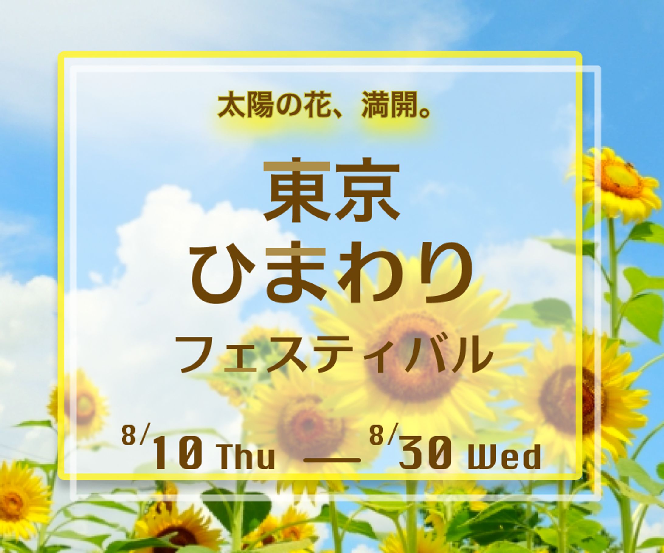 [バナー制作]東京ひまわりフェスティバル-1