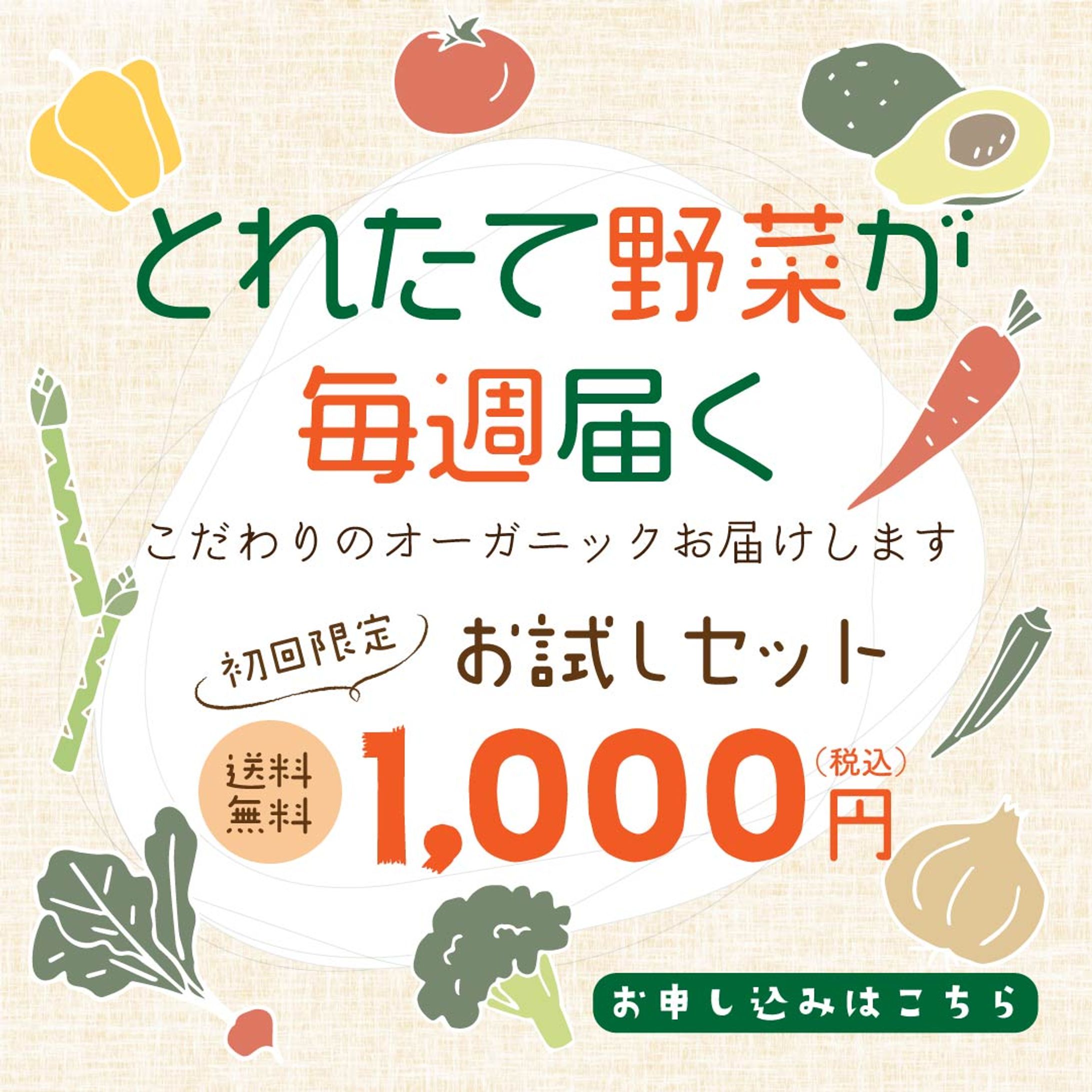 野菜のサブスク　バナー1-1