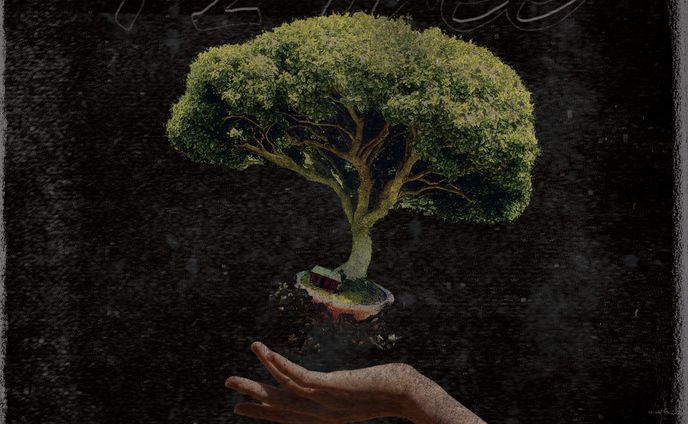 1.2.Tree / Web CD Jacket