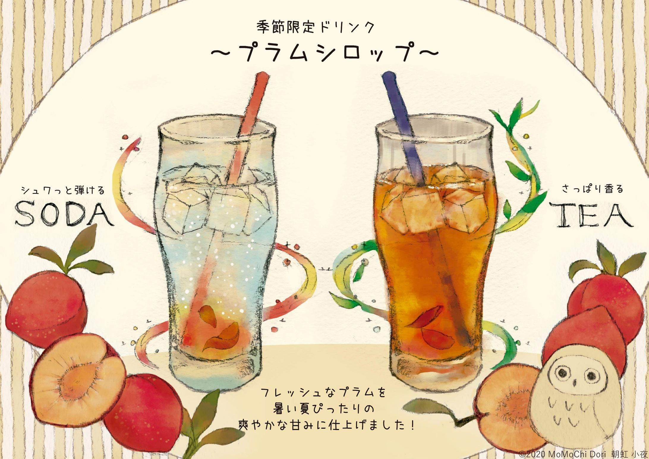 商品告知　紙面-1