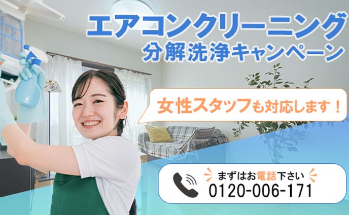 イラストレーター・デザイナー、woman