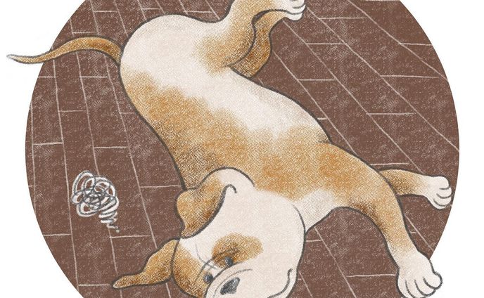 フキゲンわんこ

#イラストレーター#イラスト#デジタルイラスト#動物#ペット#犬#いぬすたぐらむ#ピットブル#いぬのいる暮らし#illustrator#illustration#animal#pet#dog#dogstagram#pitbull