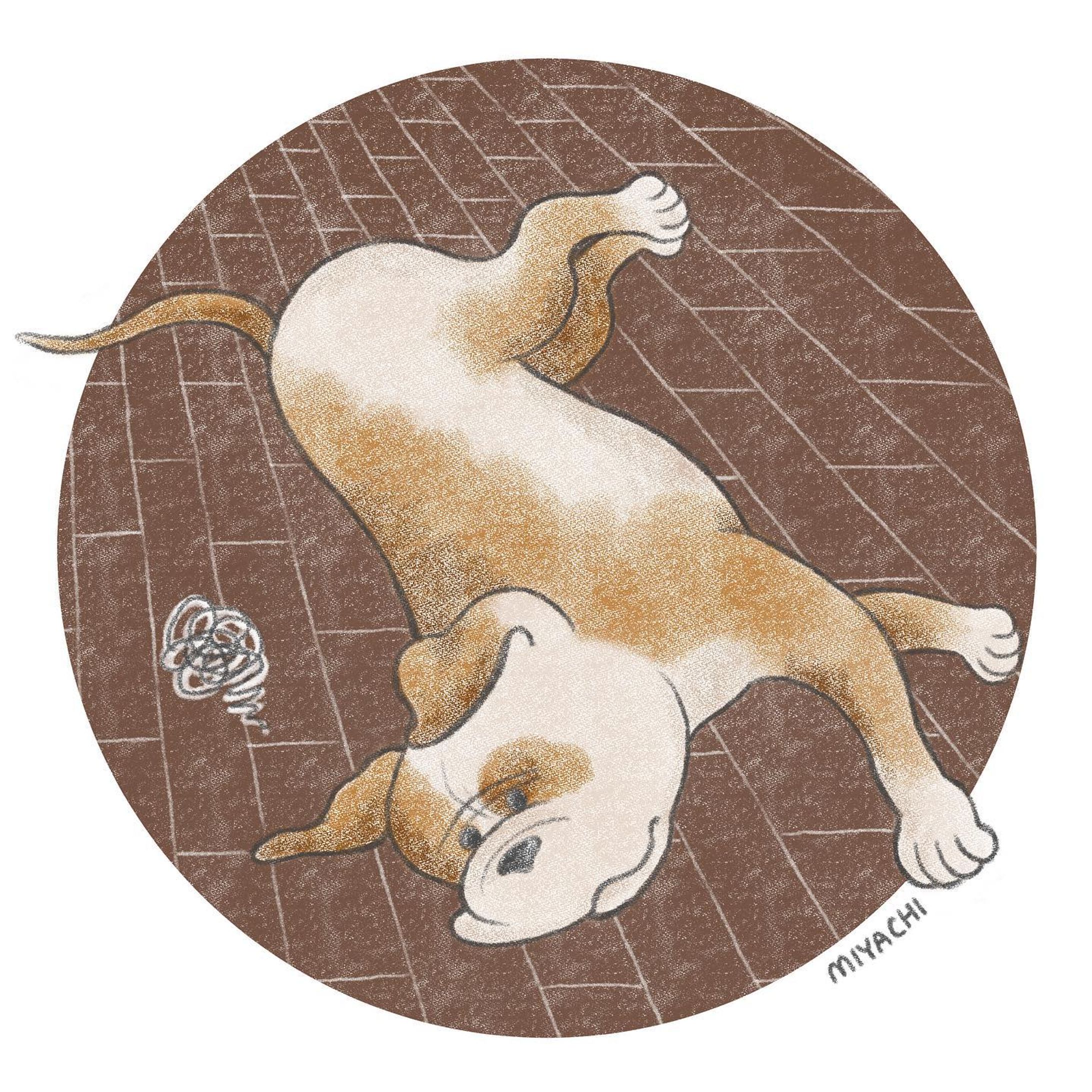 フキゲンわんこ

#イラストレーター#イラスト#デジタルイラスト#動物#ペット#犬#いぬすたぐらむ#ピットブル#いぬのいる暮らし#illustrator#illustration#animal#pet#dog#dogstagram#pitbull-1