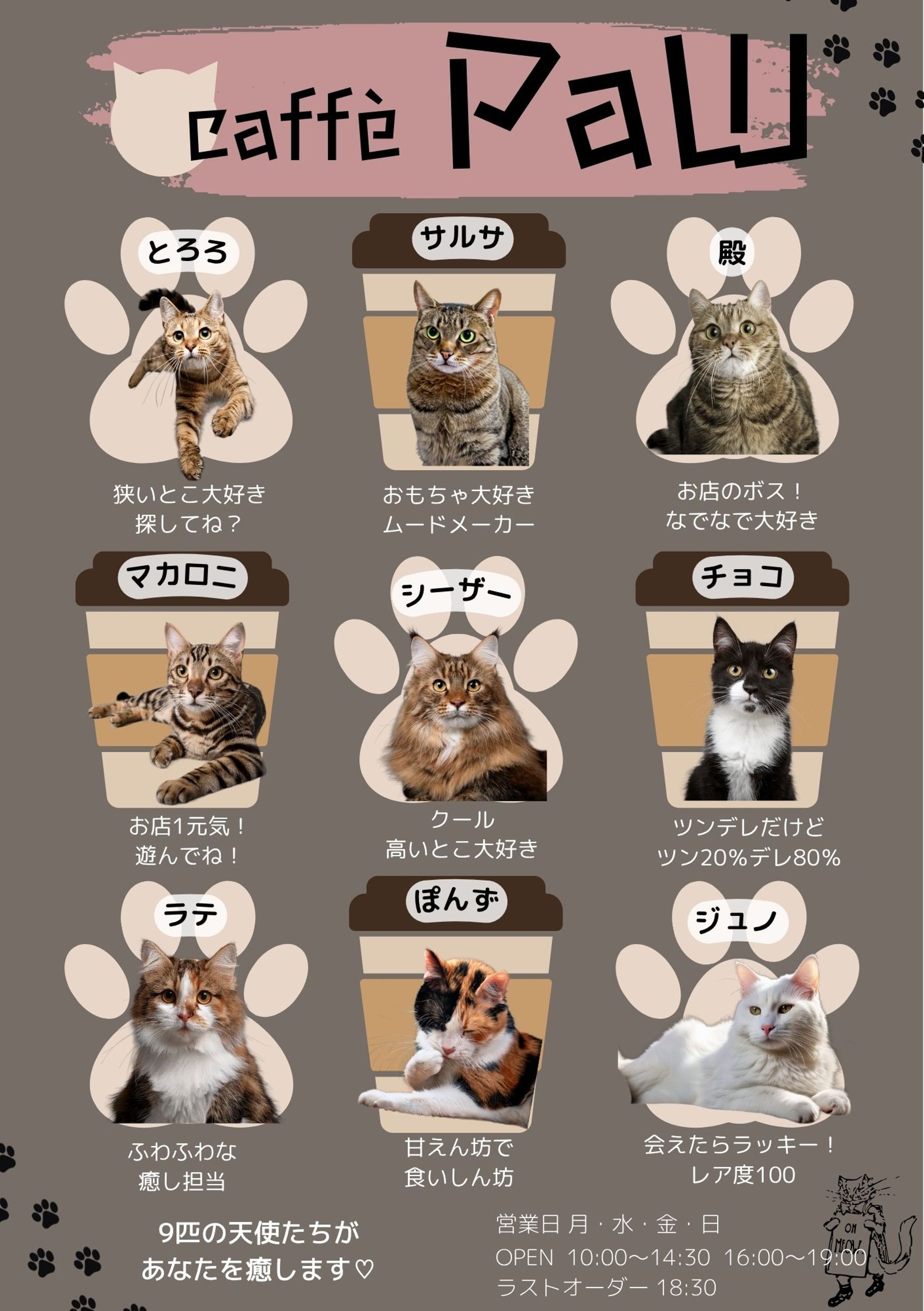 猫カフェ-1